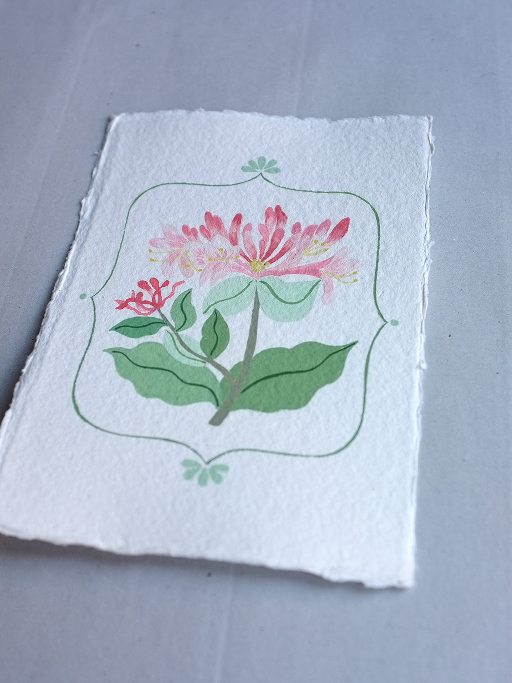 Origineel werk: Kamperfoelie - geboortebloem juni