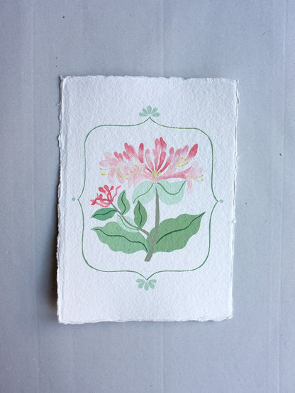 Origineel werk: Kamperfoelie - geboortebloem juni