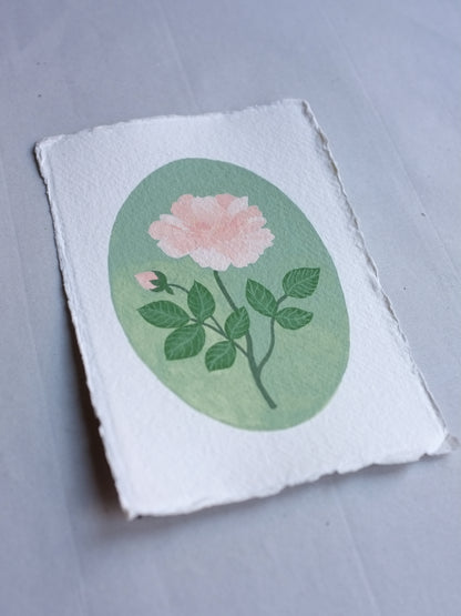 Origineel werk: Roos - geboortebloem juni